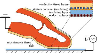 Macroscopic Modeling of Fingerpad Friction Under Electroadhesion: Possibilities and Limitations